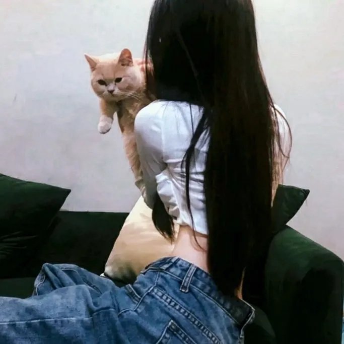 反诈·猎蜂者