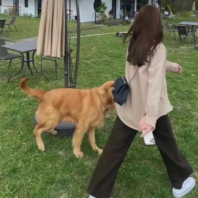 伸冤人第三季